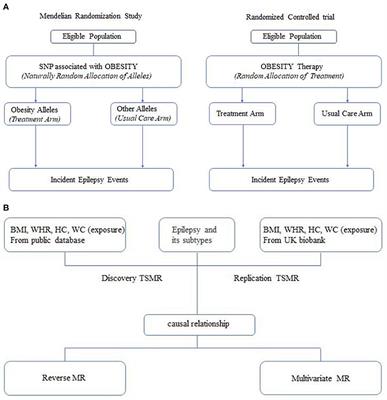 Causal relationship among obesity and body fat distribution and epilepsy subtypes